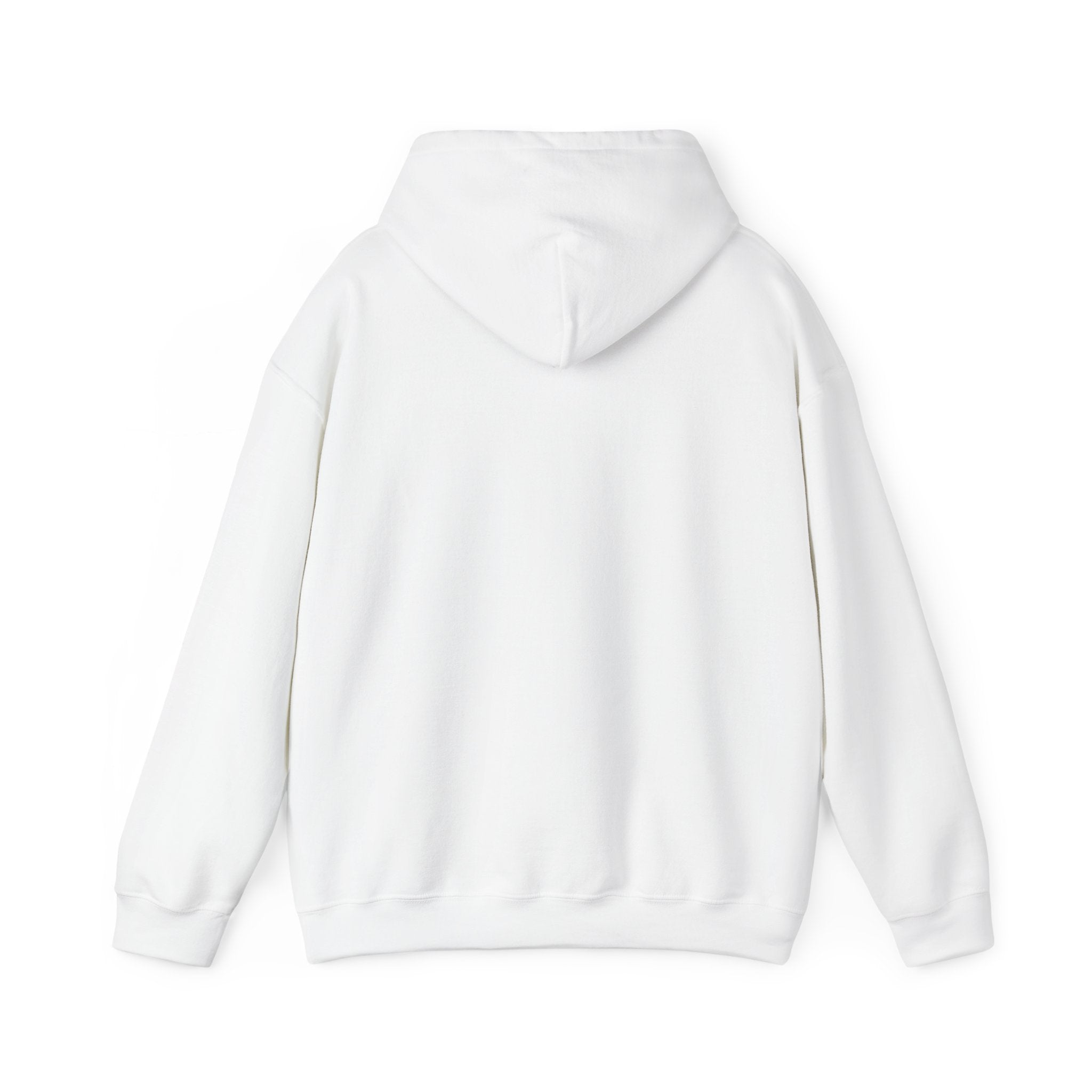 LIFTING PULLOVER HOODIES