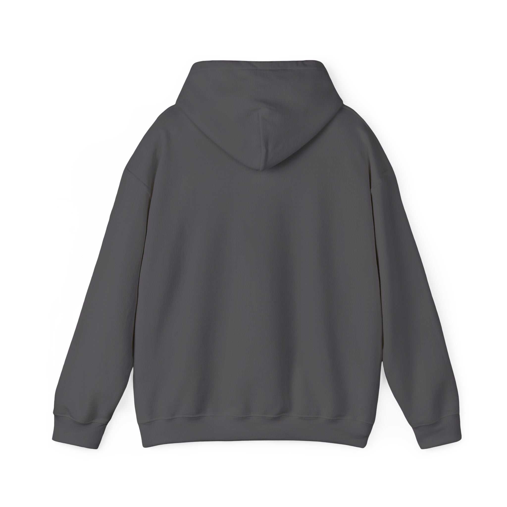 LIFTING PULLOVER HOODIES