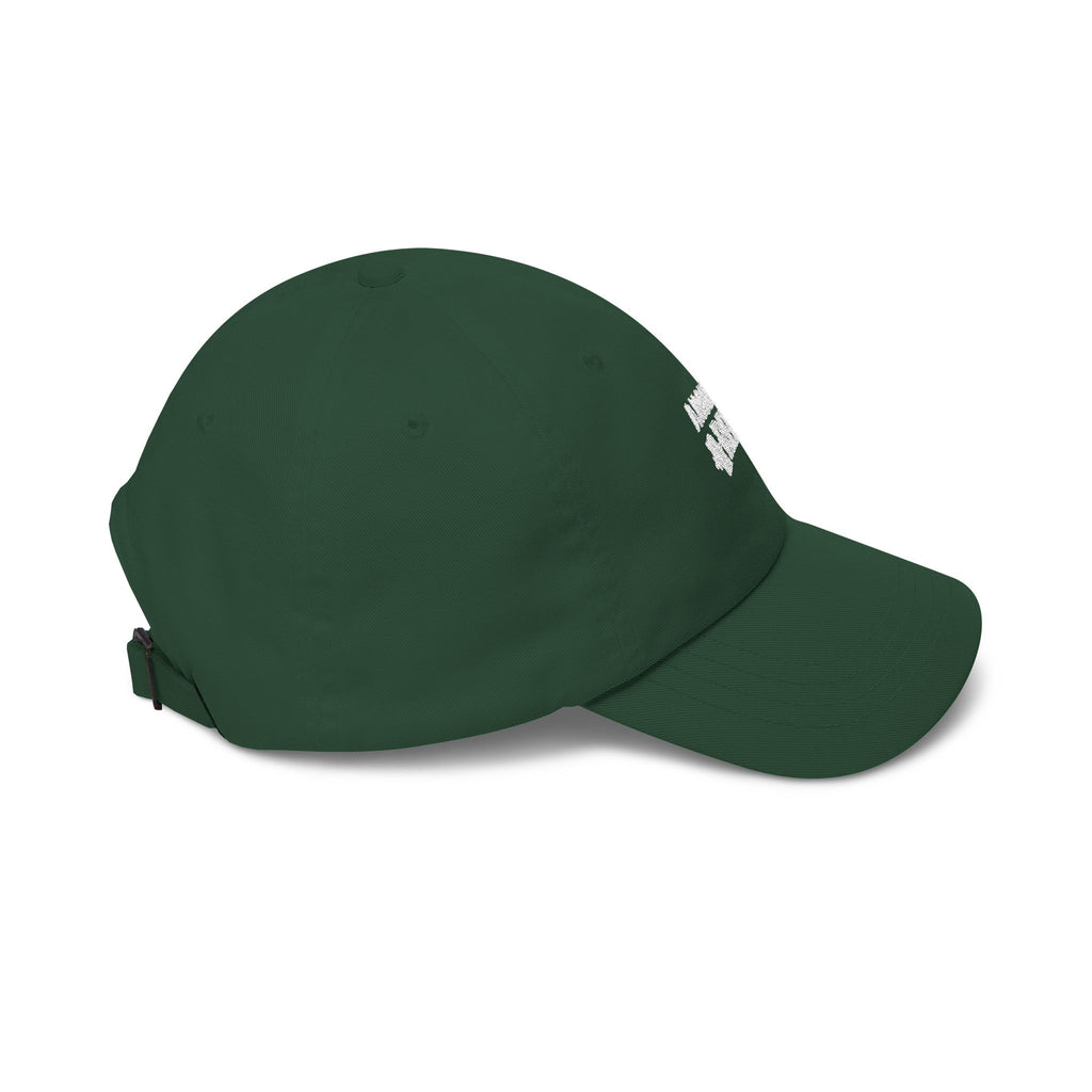 EMBROIDERED DAD HATS